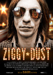 _ziggy-dust.jpg autor projektu Monika Bojarska