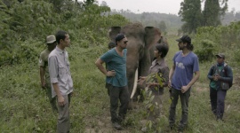 Czy czeka nas koniec? Film, LIFESTYLE - "Czy czeka nas koniec?" Leonardo DiCaprio w dokumencie o zmianach klimatu - premiera 30 października na National Geographic Channel.