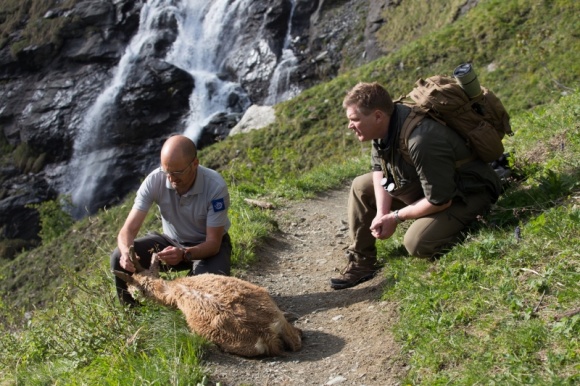 Odkryj zupełnie nowe oblicze Francji Film, LIFESTYLE - Francja to nie tylko Luwr i paryskie kafejki, ale również zapierające dech w piersiach krajobrazy, których nie spodziewalibyśmy się zobaczyć w europejskim wydaniu.
