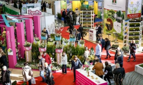 Targi ogrodnicze, florystyczne i dekoracyjne
