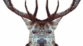 Artyści ery cyfrowej w Agorze Bytom Sztuka, LIFESTYLE - Przyciągają różnorodnością, wymykają się schematom, każda z osobna intryguje na swój sposób. Już od 2 lutego 20 niezwykłych grafik uczniów z bytomskiego ?Elektronika? można podziwiać na wystawie w ?Galerii na Poziomie? Agory Bytom. Wstęp wolny. Wernisaż 2 lutego o godzinie 10:00.