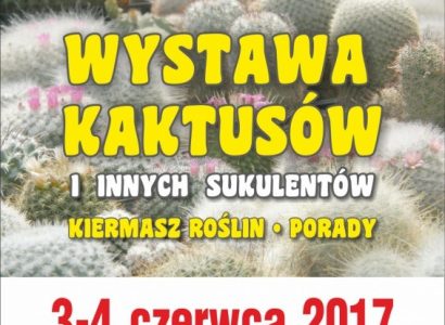 WYSTAWA KAKTUSÓW