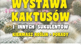 WYSTAWA KAKTUSÓW Hobby, LIFESTYLE - WYSTAWA KAKTUSÓW Ogród Botaniczny UMCS w Lublinie 3 ? 4 czerwca 2017 r., w godz. 10:00 ? 18:00 Organizatorzy: Polskie Towarzystwo Miłośników Kaktusów Oddział Lubelski oraz Ogród Botaniczny UMCS w Lublinie
