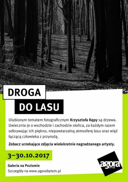 Mieszkaniec Katowic zachwyca zdjęciami przyrody. Zobacz ?Drogę do lasu? Sztuka, LIFESTYLE - 47-letni mieszkaniec Katowic swoją pasję do robienia zdjęć łączy z miłością do przyrody. Wykonuje zachwycające fotografie drzew w bajecznym otoczeniu, opowiadając o przyjaźni przyrody i człowieka.