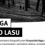 Mieszkaniec Katowic zachwyca zdjęciami przyrody. Zobacz ?Drogę do lasu?