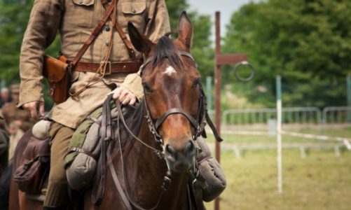 Udany piknik historyczny