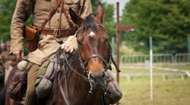 Udany piknik historyczny Hobby, LIFESTYLE - Bieg Wolności oraz spektakl ?Zapiski oficera Armii Czerwonej?, nieprzerwanie, od 26 lat grany przez Teatr Dramatyczny w Białymstoku - to tylko nieliczne atrakcje Pikniku Historycznego, który zorganizowała Fundacja ?MultiOcalenie?.