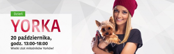 ?Dzień Yorka? w Zielonych Arkadach