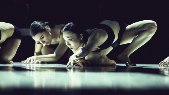 Teatr Pieśń Kozła zabrał publiczność w niezwykłą podróż Teatr, LIFESTYLE - Mocne uderzenie na początek, emocje misternie utkane z polifonicznego śpiewu i tańca, plastyczny i zapadający w pamięć finał. Premiera ?Anty-Gone TRYPTYK? już za nami. Publiczność nagrodziła twórców spektaklu długą owacją na stojąco.