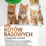 Kocie piękności po raz czwarty zawitają do Zielonych Arkad