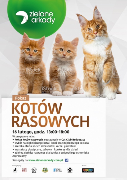 Kocie piękności po raz czwarty zawitają do Zielonych Arkad