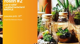 ?Las w szkle? ? wykład florystyczny z ?Badylami? Hobby, LIFESTYLE - Małe ogrody własnoręcznie pielęgnowane i hodowane w szklanych słojach cieszą się niegasnącą popularnością. O tym jak stworzyć i opiekować się domowymi oazami zieleni opowiedzą specjaliści z poznańskiej kwiaciarni ?Badyle?