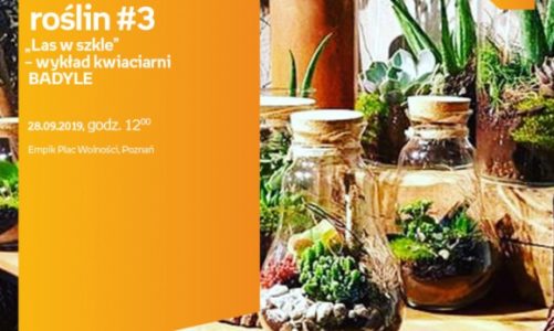 W świecie roślin #3 ?Las w szkle? – Badyle | Empik Plac Wolności