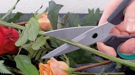 Zostań w domu. Stwórz wielkanocne ozdoby! Hobby, LIFESTYLE - Spędzanie czasu w domowym zaciszu nie musi być nudne. Już teraz możemy przygotować się do zbliżających się świąt i zaskoczyć rodzinę naszymi stroikami, doniczkami, filcowymi zajączkami i ażurowymi pisankami.