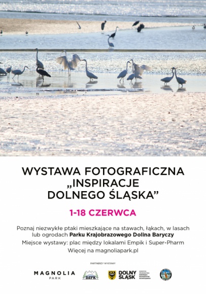 Dolina Baryczy w obiektywie aparatu Sztuka, LIFESTYLE - Żeby je zobaczyć, trzeba mieć dużo szczęścia. By sfotografować ? jeszcze więcej. Mowa o ptakach występujących w Parku Krajobrazowym Doliny Baryczy.