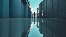 Silna reprezentacja polskich twórców w finale konkursu Huawei Next-Image Awards Hobby, LIFESTYLE - Aż 41 fotografii wykonanych przez polskich autorów znalazło się w globalnym, finałowym etapie konkursu Huawei Next-Image Awards 2020. Powalczą oni o nagrody główne.